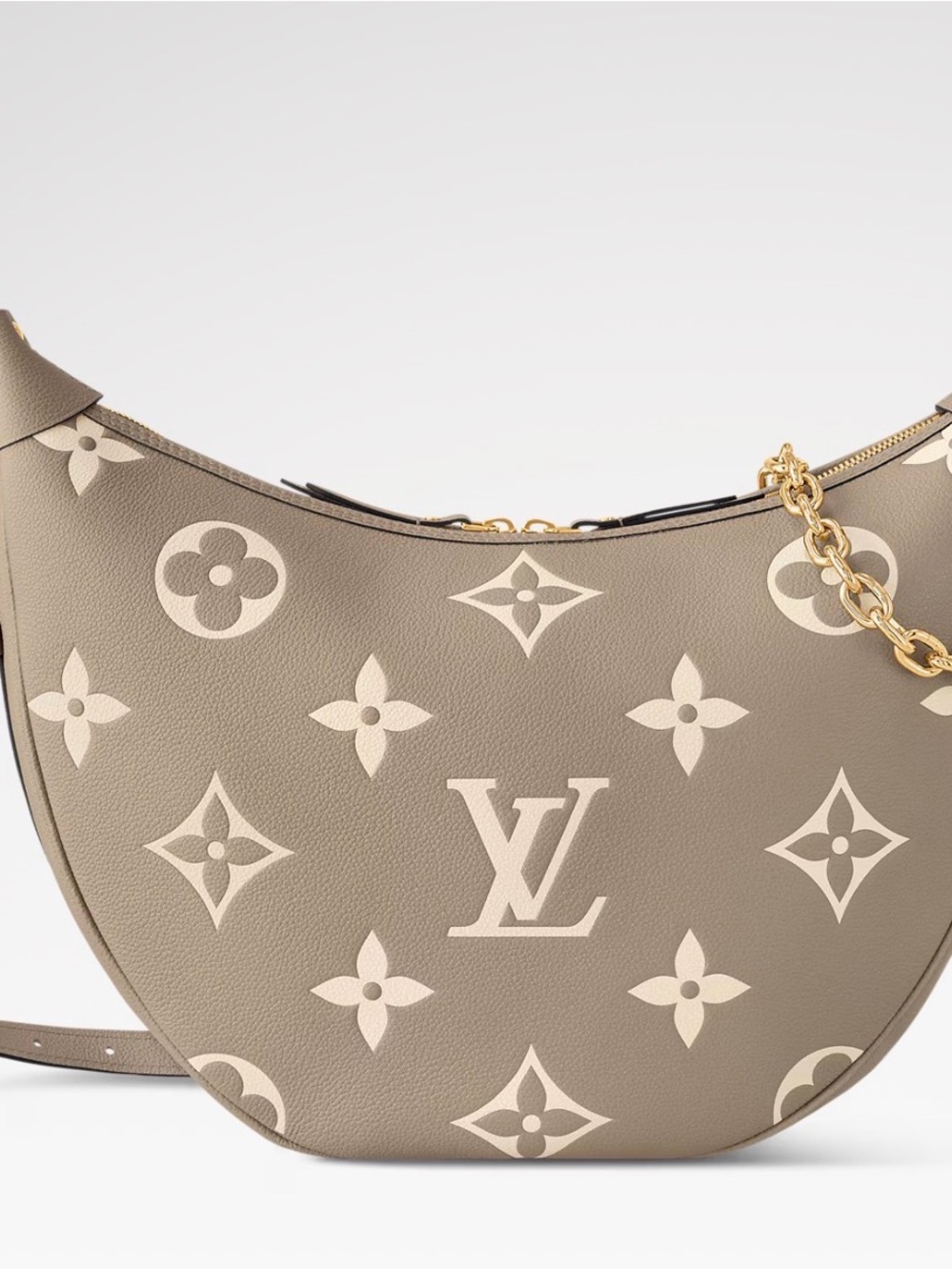 Louis Vuitton Hobo Loop Gray Bag